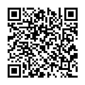 元雪薇这才一脸慈爱的对在她身侧坐定的李恺说道二维码生成