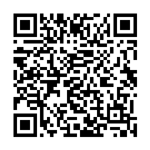 充分强调质朴安静的小岛风情让王妃只追问了两句就拍板二维码生成