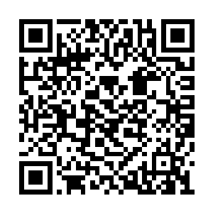 充当正场招待会见证人的芮阁不慌不忙地站起来二维码生成