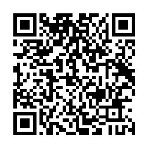 充满野性的目光紧紧的锁定着舞台上成为众人猎物的小女人二维码生成