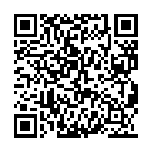 先不说仅仅是提成对于她来说就是一笔天文数字二维码生成