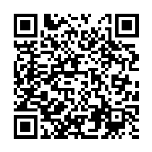 先不说楚枫与凌云宗第二弟子风浩的实力差距巨大二维码生成