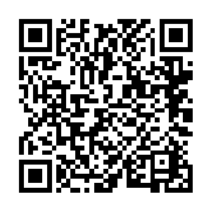 先不说龟族收回來的那些水晶币矿脉曾经都是归属龟族所有二维码生成