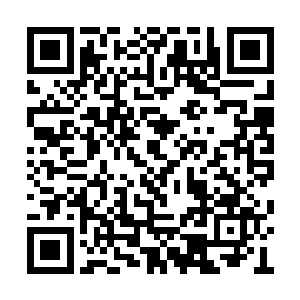 先前他们救水奴的过程忽然又在脑海里回了一遍二维码生成