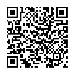 先前便有一位以边塞诗名动天下的大文豪仅带书童游览边境二维码生成