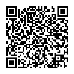 先前凑到队伍里给这些京城权贵子弟帮闲跑腿的两个北凉本地纨绔二维码生成