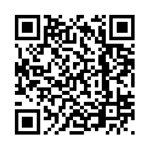 先前凝重的气氛因为梓箐的实力大增二维码生成