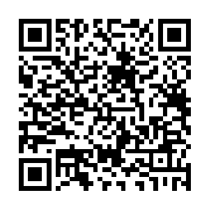 先前只是看在她是夏蒲风女儿的份上成为一个小峰之主二维码生成