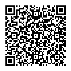 先前张绝天和圆觉大师出手迎战对方的两位尊者之后不是马上就有下一位尊者出手了吗二维码生成