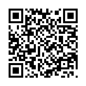 先前教廷那些红衣大主教出手后的下场二维码生成