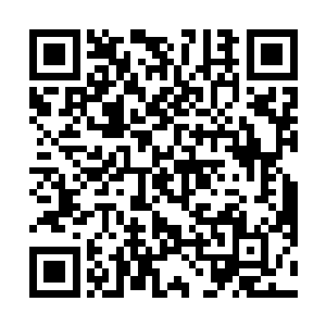 先前赌秦宇可以进入前十也是有着一点赌气的成分在的二维码生成