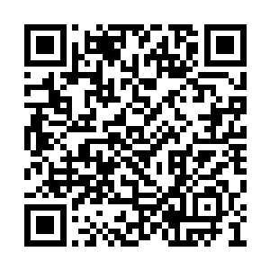 先前还无比强悍的魔体在这刻一下被捅成了筛子二维码生成