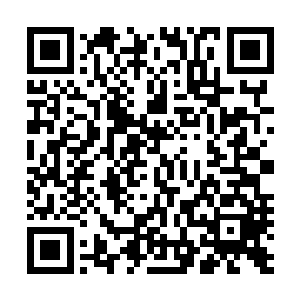 先前这西塞和教皇不是占着实力高对他们玄学界任意欺凌吗二维码生成