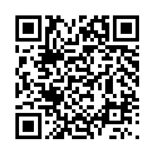 先前那燕家的圆脸丫鬟一脸笑吟吟的二维码生成