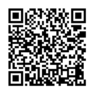 先把孟家运作过演唱会的团队借给有道影视传媒二维码生成