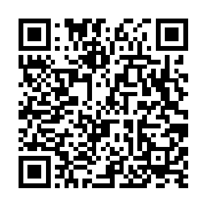 先支付一半给那些愿意跟随报晓派出战的散修随扈了二维码生成