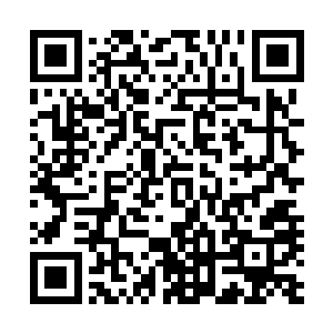先支持不住的却是连续几天体力脑力双重劳动的奥利维亚了二维码生成