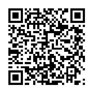 先收买了几个容貌好又楚楚可怜的女孩叫重生男迷了心二维码生成