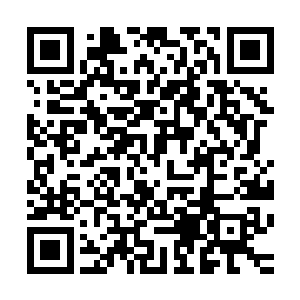 先是拿着长长的警棍开始使劲抽打那些在地上痛苦翻滚的家伙二维码生成