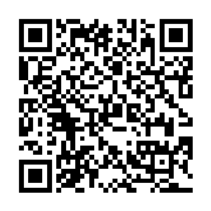 先是长长的叫了一声伸着粉粉的舌舔了舔自己身上的血二维码生成
