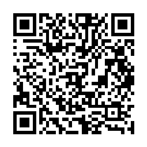 先是鲁振威带领着一众人对着君无极和季疏云行礼二维码生成