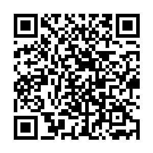 先生看着叶道温叶道陵以及还没有离开的叶道陵三兄弟二维码生成