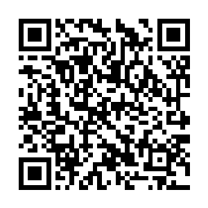 先用两败俱伤的打法解决那两只难缠的变异蝗虫王二维码生成