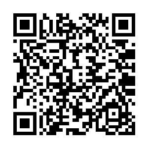 先边学道一天回到松江的夏夜和唐根水早早就来到机场二维码生成