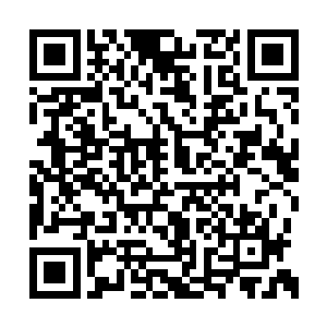 光头强见夏云杰一语又道破他今天已经发了大财二维码生成