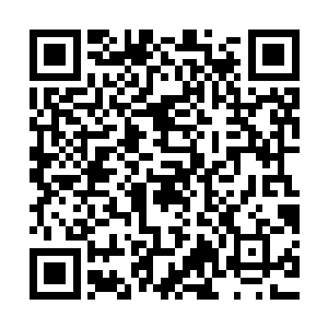 光幕上那些原本在海水中数量惊人的暗色影子竟只是几息的功夫二维码生成
