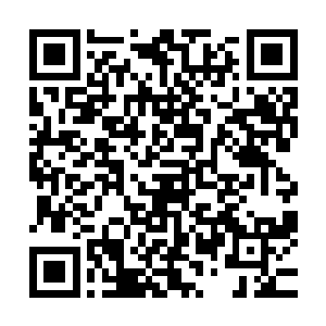 光是产品发布会要发布什么产品都能惹起一大部分人的好奇心二维码生成