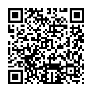 光是从这一点上就能看出那四人都是学院中的学生二维码生成
