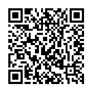 光是他们提前中毒发作就能让元孟支等人在中毒未深时惊醒过来二维码生成