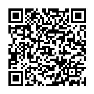 光是在这上面固化符文还有修建元素粒子池的花费二维码生成