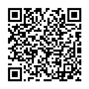 光是想想她们冲上去抢礼品袋的场景…真是报应呀二维码生成