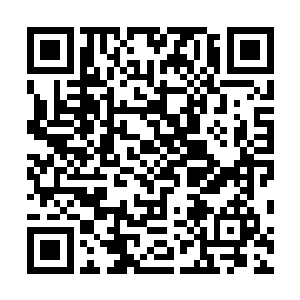 光是现在贝海看着这条鲨鱼就比自己的两块冲浪板还要大二维码生成
