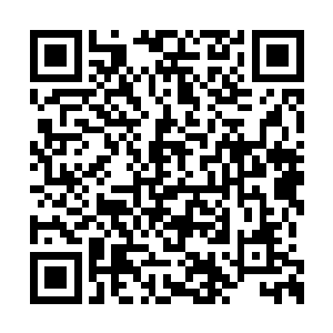 光是看到那强横密密麻麻的飞剑一把把铿锵碎裂二维码生成