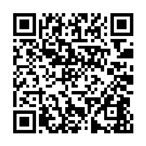 光是看懵懂无知的孩童能微笑着撕碎蜻蜓的翅膀二维码生成