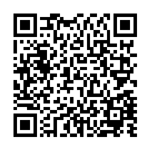 光是看看牟晨菲那昏昏沉沉欲拒还迎的表情就够让他兴奋了二维码生成