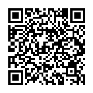 光是那神级高手山本瑟郎就是武田家族不可逾越的鸿沟二维码生成