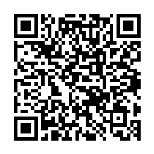 光滑如镜的门户上迅速被一股股暗藏在七彩中的血色丝线蔓延二维码生成