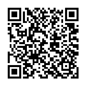 光滑的金属假面上竟然慢慢浮现出一个眉目宛然的惋惜表情二维码生成