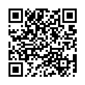 光罩内壁浮起一层密密麻麻的细小闪电二维码生成