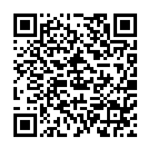 光说真人类帝国的皇帝陛下和太后殿下第一次亲临联邦首都二维码生成