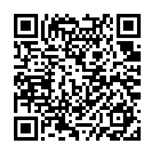 光辉之塔的大厅之中又赶来了许多来看热闹的骑士二维码生成
