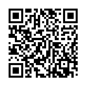 光这一人一猫的奇妙组合就够让人瞩目了二维码生成