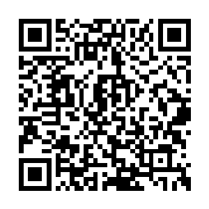 克拉耶丝虽然有时也会陪着妮娜看看动画什么的二维码生成