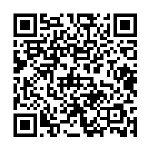 克林特一伊斯特伍德为首的评委会成员登上红地毯二维码生成