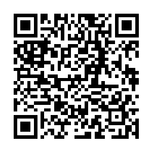 克莱伦斯已经把高扬和金基哲的约架称作是比赛了二维码生成