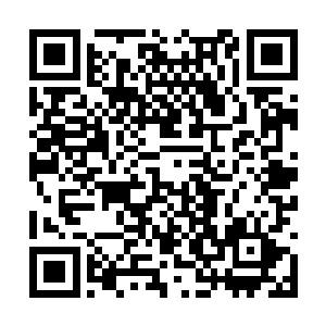 克鲁斯还算比较轻松的驾驭完成了比利的出场歌舞二维码生成
